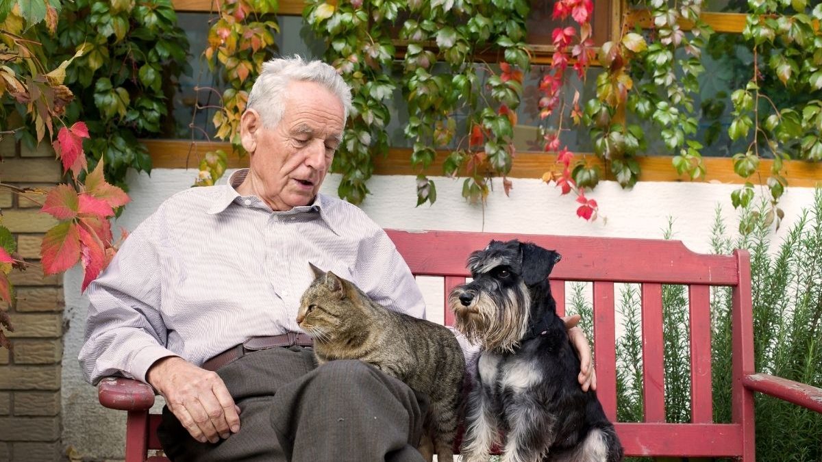 opieka nad seniorem ze zwierzętami